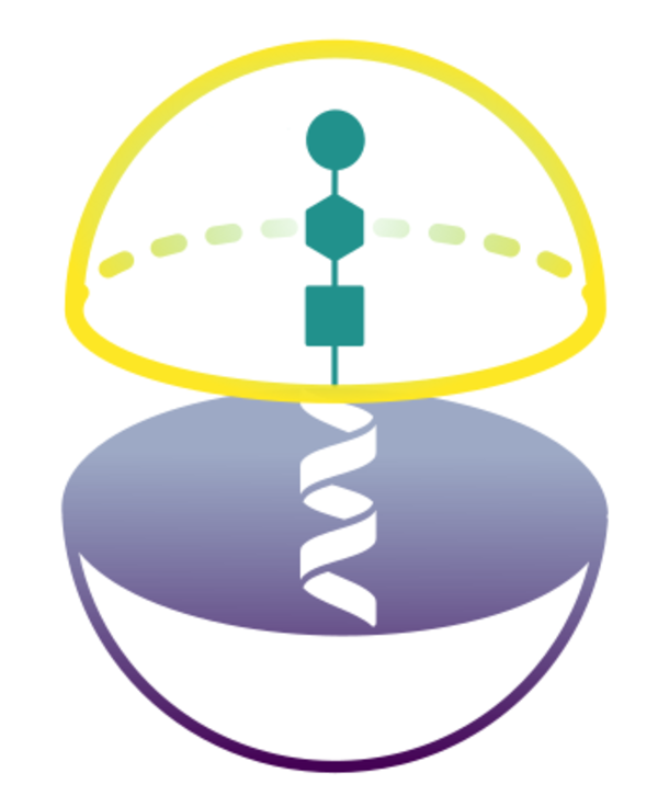 Aleksandar Anžel's (Aleksandar Anzel's) developed software. PepTriX Logo